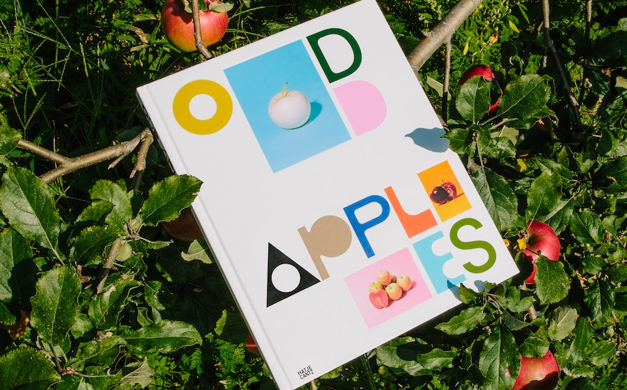 Oddapples Trabuccocampos 000