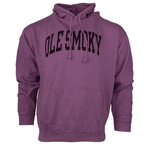 ARCH TEXT HOODIE - GARNET