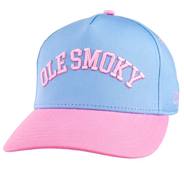 ARCH TEXT HAT - BLUE/PINK, view 1